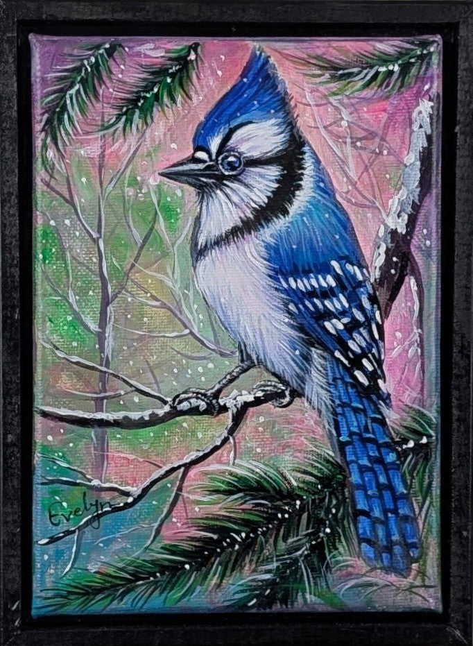 Blue jay Bird